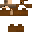 Texture for ScoutEinstein