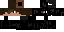 Texture for ninja