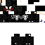 Texture for zKnightChaos