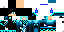 Texture for mineskin