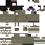 Texture for ...
