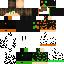 Texture for gavno