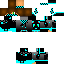 Texture for chipou2000