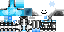 Texture for robot