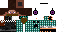 Texture for Steve