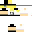 Texture for TS