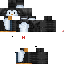 Texture for Piguin