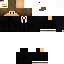 Texture for Manager