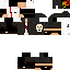 Texture for ds