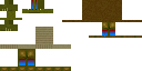 Texture for super turtle