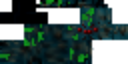 Texture for Toxic_Spider