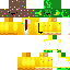 Texture for pi