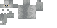 Texture for Mine blocks gray cat