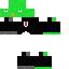 Texture for parrot