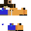 Texture for isachela1