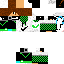 Texture for Max