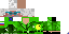 Texture for paca1
