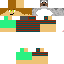 Texture for lost skin