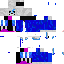 Texture for SANS
