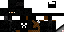 Texture for Dark Ninja