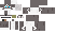 Texture for Wolf Link