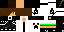 Texture for ds