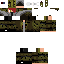 Texture for springter 64