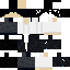 Texture for ds