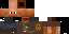Texture for Survivor