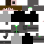 Texture for Floxo2.0