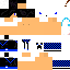 Texture for Steve