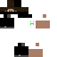 Texture for 312