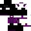 Texture for Enderboy
