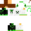 Texture for javole