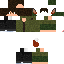 Texture for half and half fern