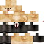 Texture for Doge Tux