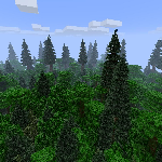 Texture for Imagem da textura