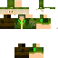 Texture for wilyrex