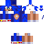 Texture for Sonic