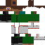 Texture for steve