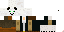 Texture for panda.5