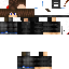 Texture for Steve