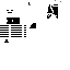 Texture for Bones Bats