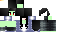 Texture for ds