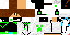 Texture for erik
