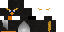 Texture for Penguin