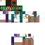Texture for Steve