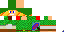 Texture for linktiti2