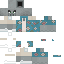 Texture for pillagersummer