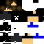 Texture for THOMAS